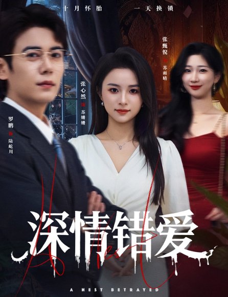 深情错爱&鸠占鹊巢（45集）罗鹏&张心然 高清完整版