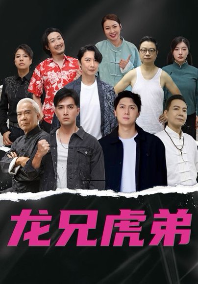 龙兄虎弟（60集）中文版 高清完整版