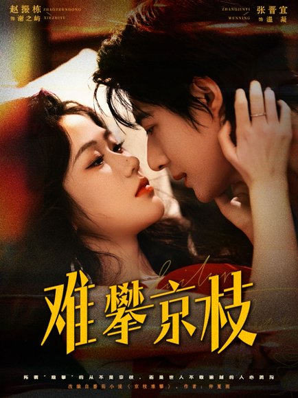 难攀京枝（74集）赵振栋＆张晋宜 高清完整版