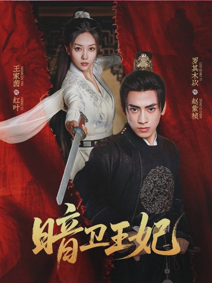 暗卫王妃（60集）王家茵＆罗其木以 高清完整版