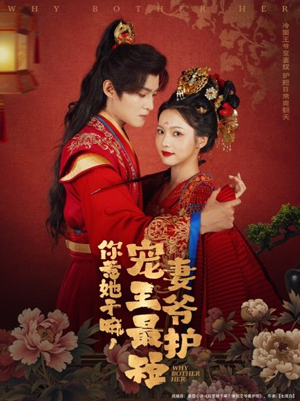 你惹她干嘛，宠妻王爷最护短（74集）谢鸿鑫＆羽翎 高清完整版