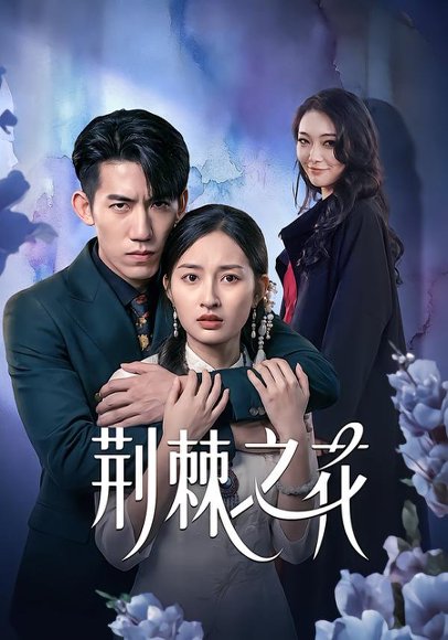 荆棘之花（100集）杨可忻&范哲宇 高清完整版