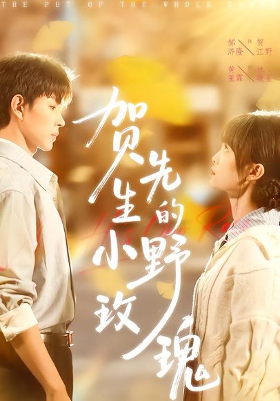 贺先生的小野玫瑰（99集）黄玺霖&邹济隆 高清完整版